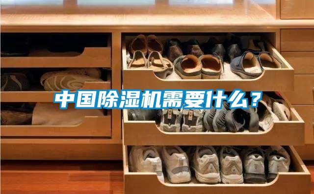 中國(guó)除濕機(jī)需要什么？