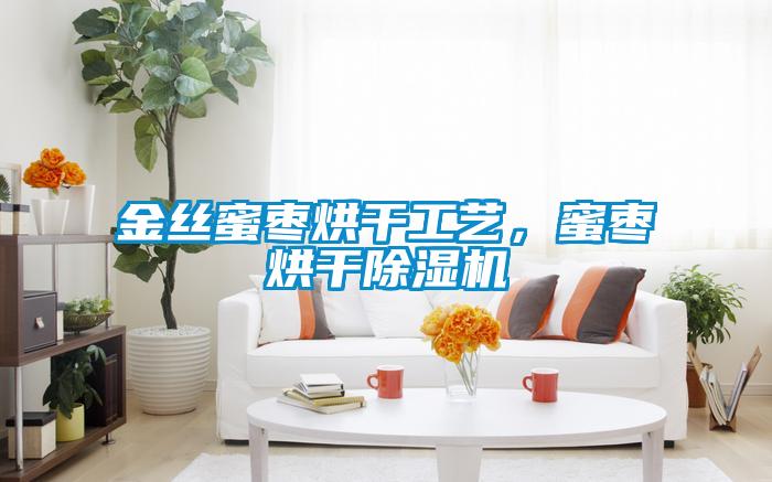 金絲蜜棗烘干工藝，蜜棗烘干除濕機(jī)