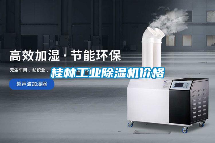 桂林工業(yè)除濕機(jī)價格