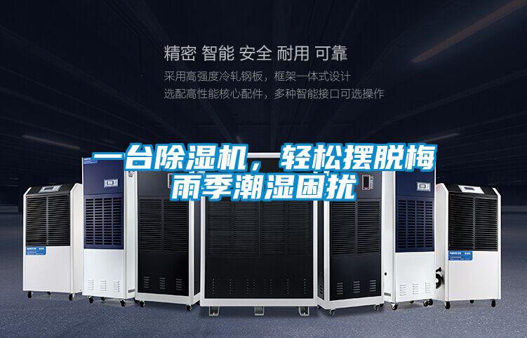 一臺除濕機，輕松擺脫梅雨季潮濕困擾