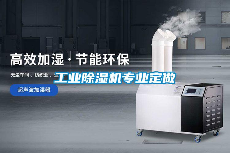 工業(yè)除濕機(jī)專(zhuān)業(yè)定做