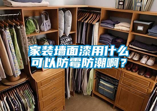 家裝墻面漆用什么可以防霉防潮??？