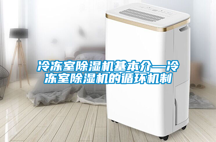 冷凍室除濕機基本介—冷凍室除濕機的循環(huán)機制