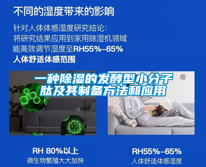 一種除濕的發(fā)酵型小分子肽及其制備方法和應用