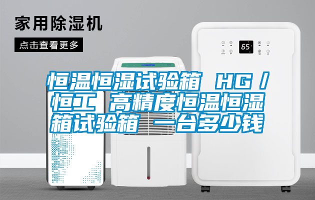 恒溫恒濕試驗(yàn)箱 HG／恒工 高精度恒溫恒濕箱試驗(yàn)箱 一臺(tái)多少錢