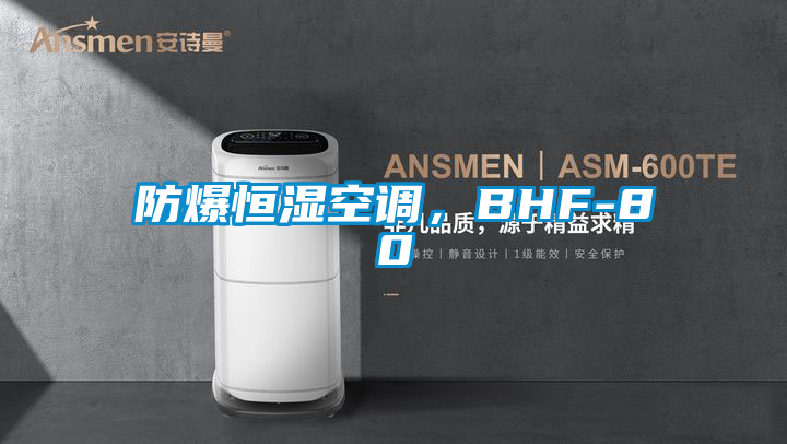 防爆恒濕空調，BHF-80