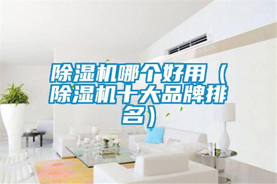 除濕機(jī)哪個好用（除濕機(jī)十大品牌排名）