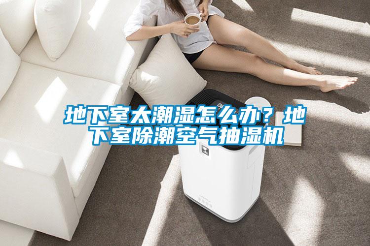 地下室太潮濕怎么辦？地下室除潮空氣抽濕機(jī)