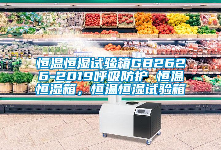 恒溫恒濕試驗(yàn)箱GB2626-2019呼吸防護(hù) 恒溫恒濕箱，恒溫恒濕試驗(yàn)箱