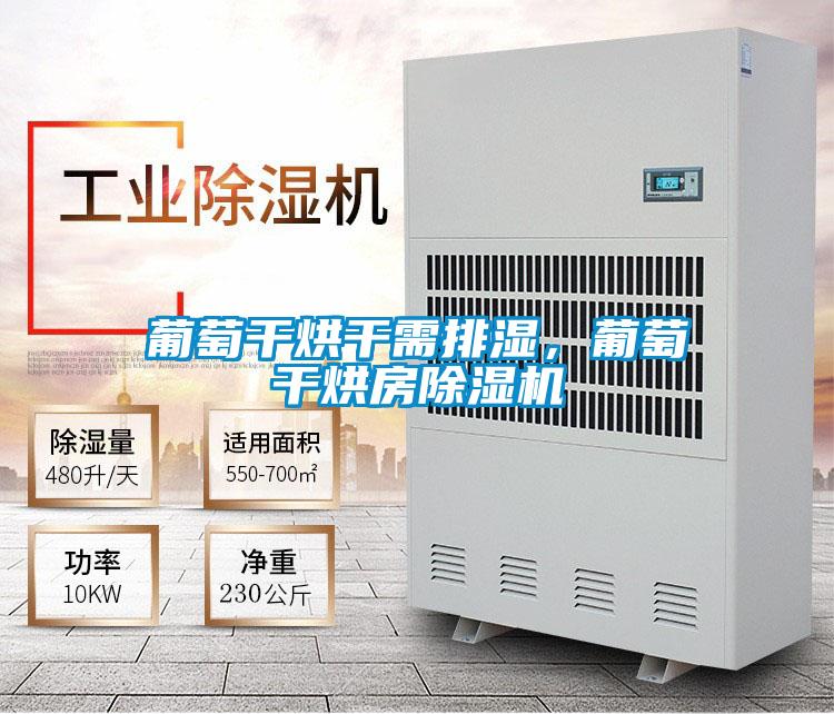 葡萄干烘干需排濕，葡萄干烘房除濕機