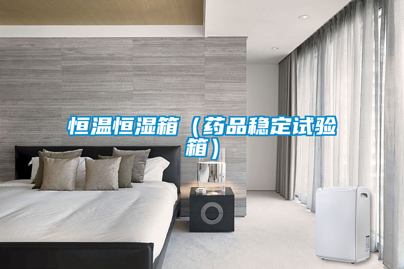 恒溫恒濕箱（藥品穩(wěn)定試驗(yàn)箱）