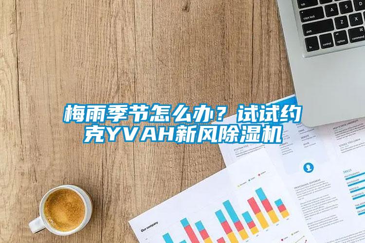 梅雨季節(jié)怎么辦？試試約克YVAH新風除濕機