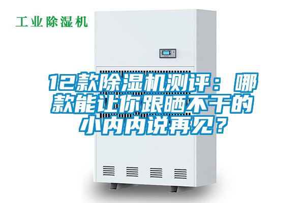 12款除濕機測評：哪款能讓你跟曬不干的小內(nèi)內(nèi)說再見？