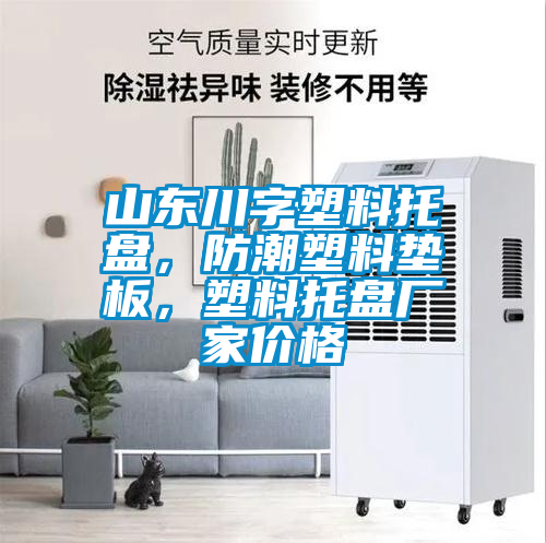 山東川字塑料托盤，防潮塑料墊板，塑料托盤廠家價(jià)格