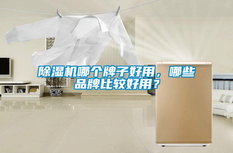 除濕機哪個牌子好用，哪些品牌比較好用？