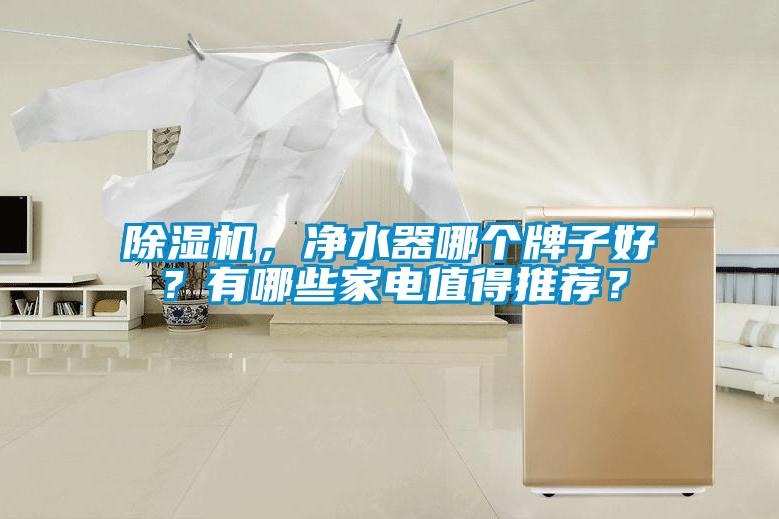 除濕機，凈水器哪個牌子好？有哪些家電值得推薦？