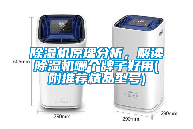 除濕機(jī)原理分析，解讀除濕機(jī)哪個牌子好用(附推薦精品型號)