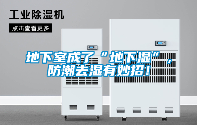 地下室成了“地下濕”，防潮去濕有妙招！