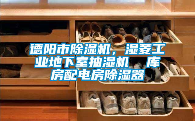 德陽市除濕機(jī)，濕菱工業(yè)地下室抽濕機(jī)  庫房配電房除濕器