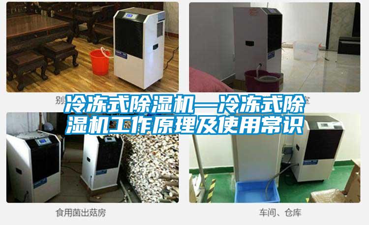 冷凍式除濕機(jī)—冷凍式除濕機(jī)工作原理及使用常識(shí)