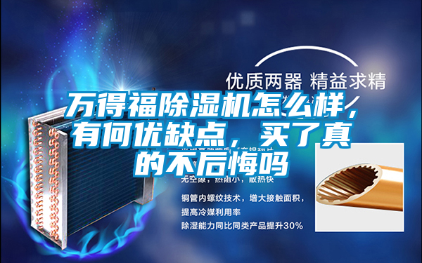 萬得福除濕機(jī)怎么樣，有何優(yōu)缺點(diǎn)，買了真的不后悔嗎
