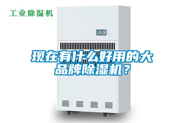 現(xiàn)在有什么好用的大品牌除濕機(jī)？