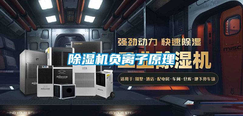 除濕機負(fù)離子原理