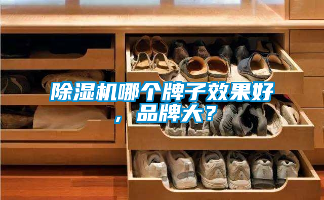 除濕機哪個牌子效果好，品牌大？
