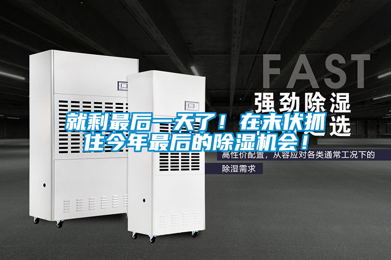 就剩最后一天了！在末伏抓住今年最后的除濕機會！