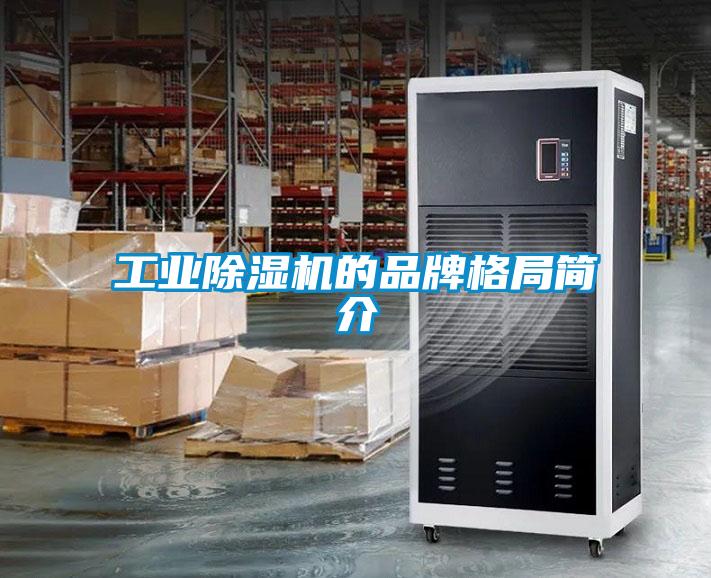 工業(yè)除濕機(jī)的品牌格局簡(jiǎn)介