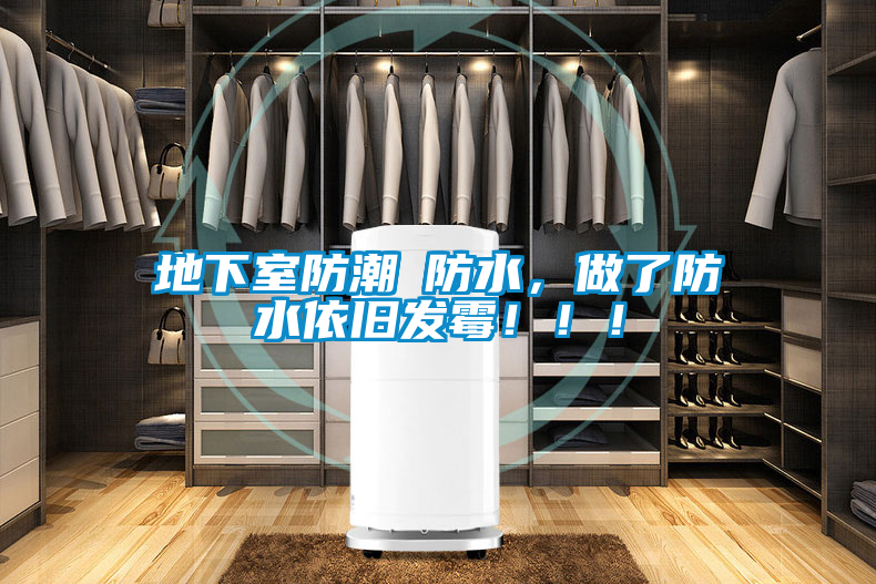 地下室防潮≠防水，做了防水依舊發(fā)霉?。。?/></p>
						    <p style=