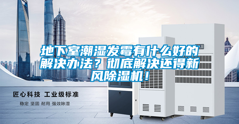 地下室潮濕發(fā)霉有什么好的解決辦法？徹底解決還得新風(fēng)除濕機(jī)！