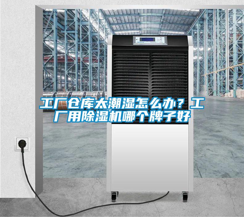 工廠倉庫太潮濕怎么辦？工廠用除濕機(jī)哪個(gè)牌子好