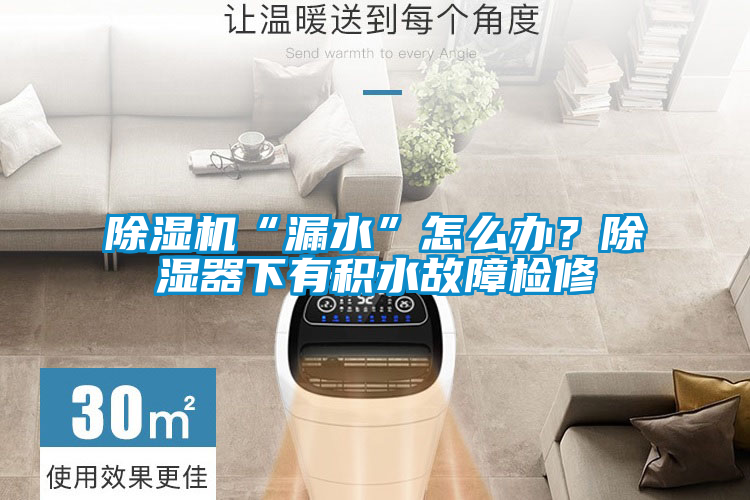 除濕機“漏水”怎么辦？除濕器下有積水故障檢修