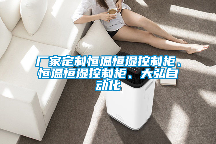 廠家定制恒溫恒濕控制柜、恒溫恒濕控制柜、大弘自動化