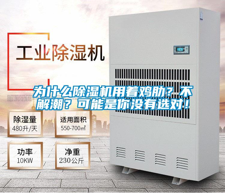為什么除濕機(jī)用著雞肋？不解潮？可能是你沒(méi)有選對(duì)！