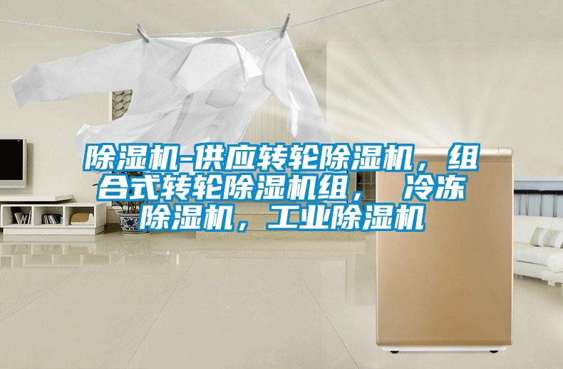 除濕機(jī)-供應(yīng)轉(zhuǎn)輪除濕機(jī)，組合式轉(zhuǎn)輪除濕機(jī)組， 冷凍除濕機(jī)，工業(yè)除濕機(jī)