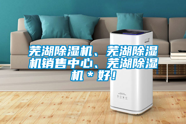 蕪湖除濕機(jī)、蕪湖除濕機(jī)銷售中心、蕪湖除濕機(jī)＊好！