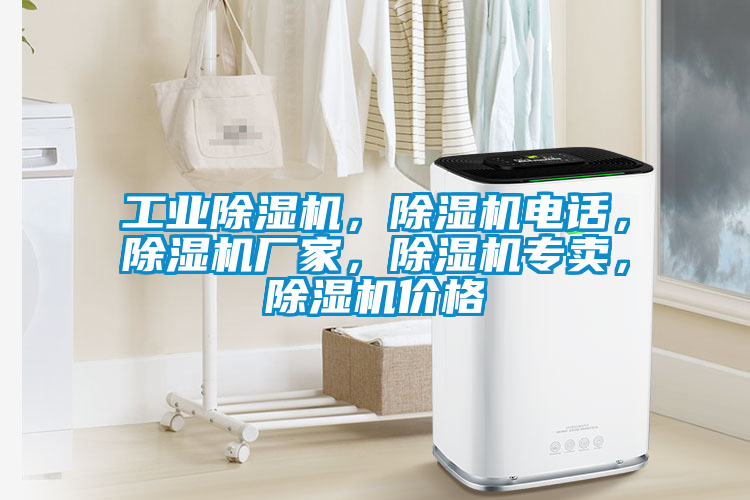 工業(yè)除濕機(jī)，除濕機(jī)電話，除濕機(jī)廠家，除濕機(jī)專(zhuān)賣(mài)，除濕機(jī)價(jià)格