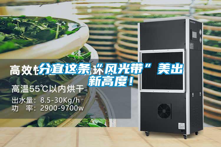 分宜這條“風(fēng)光帶”美出新高度！