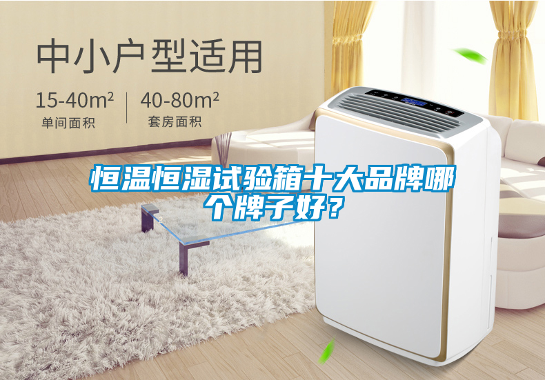 恒溫恒濕試驗箱十大品牌哪個牌子好？