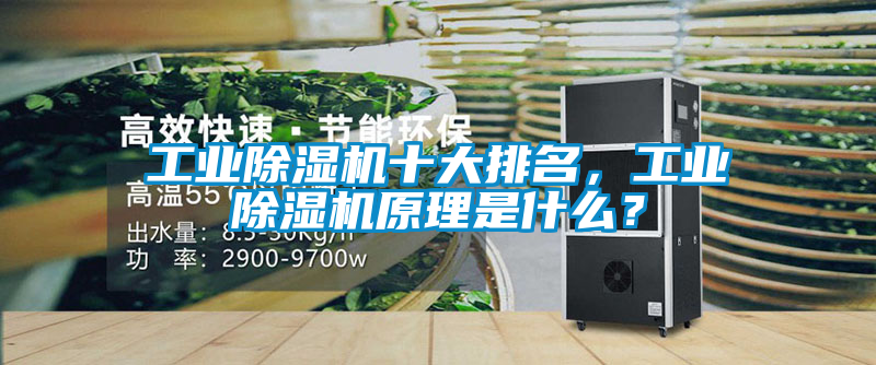 工業(yè)除濕機(jī)十大排名，工業(yè)除濕機(jī)原理是什么？