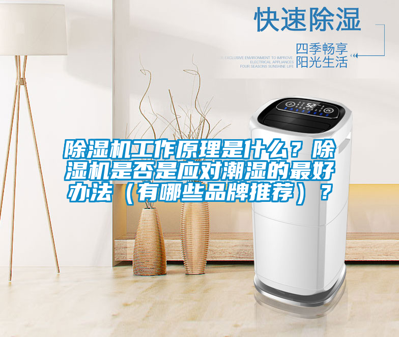 除濕機(jī)工作原理是什么？除濕機(jī)是否是應(yīng)對(duì)潮濕的最好辦法（有哪些品牌推薦）？