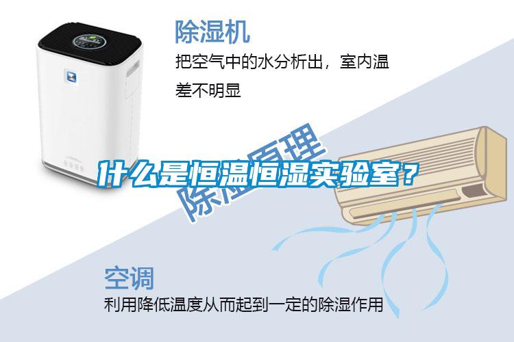 什么是恒溫恒濕實(shí)驗(yàn)室？