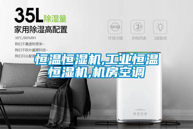 恒溫恒濕機,工業(yè)恒溫恒濕機,機房空調
