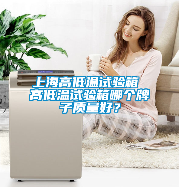 上海高低溫試驗箱 高低溫試驗箱哪個牌子質(zhì)量好？