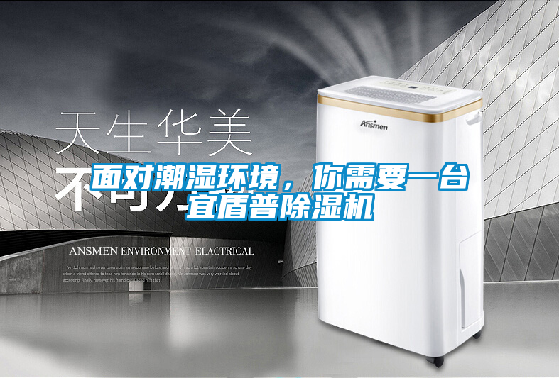 面對潮濕環(huán)境，你需要一臺宜盾普除濕機(jī)