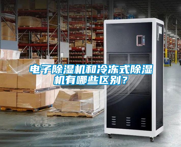電子除濕機(jī)和冷凍式除濕機(jī)有哪些區(qū)別？