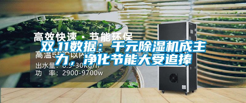 雙.11數(shù)據(jù)：千元除濕機(jī)成主力，凈化節(jié)能大受追捧