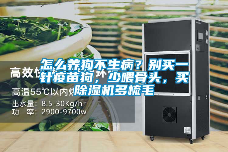 怎么養(yǎng)狗不生??？別買一針疫苗狗，少喂骨頭，買除濕機(jī)多梳毛